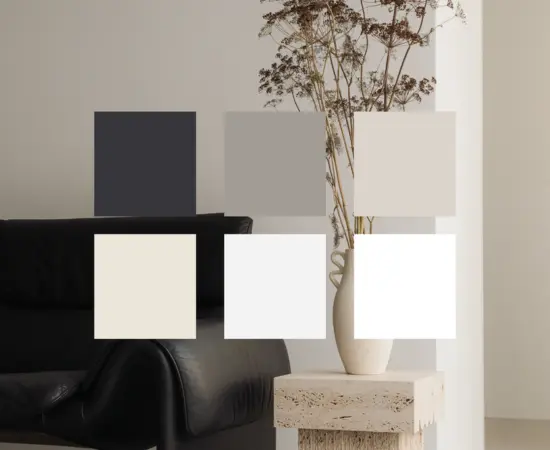 The Axis Clinic colour palette branding campaign created by Marketing Valley